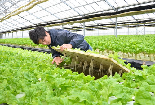 施設長挨拶